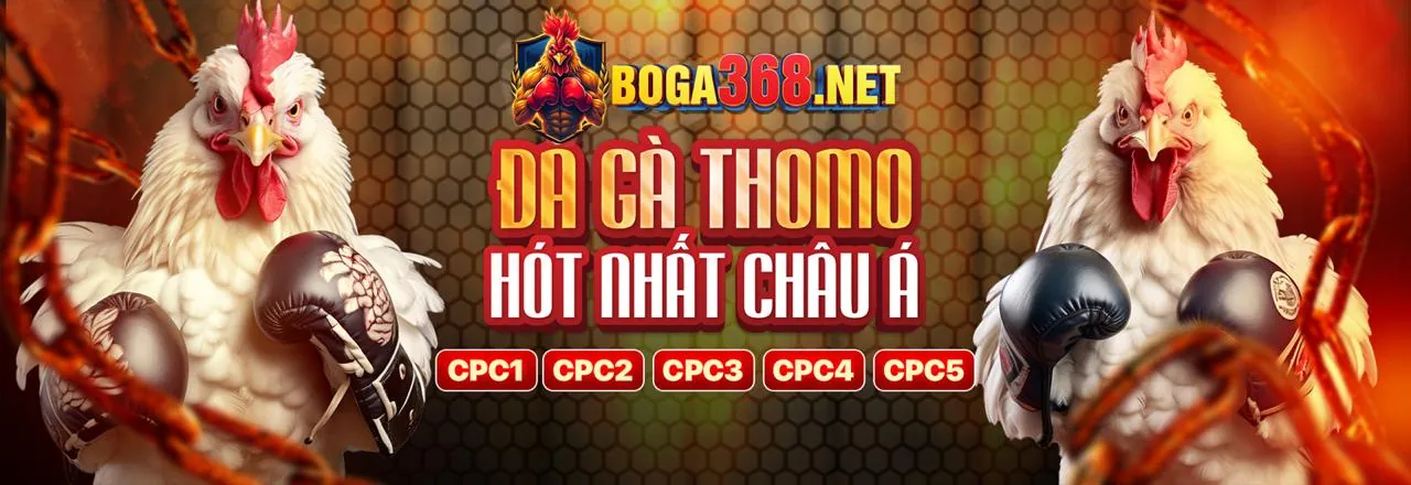 Hình ảnh chính trò chơi slot 555win12 casino